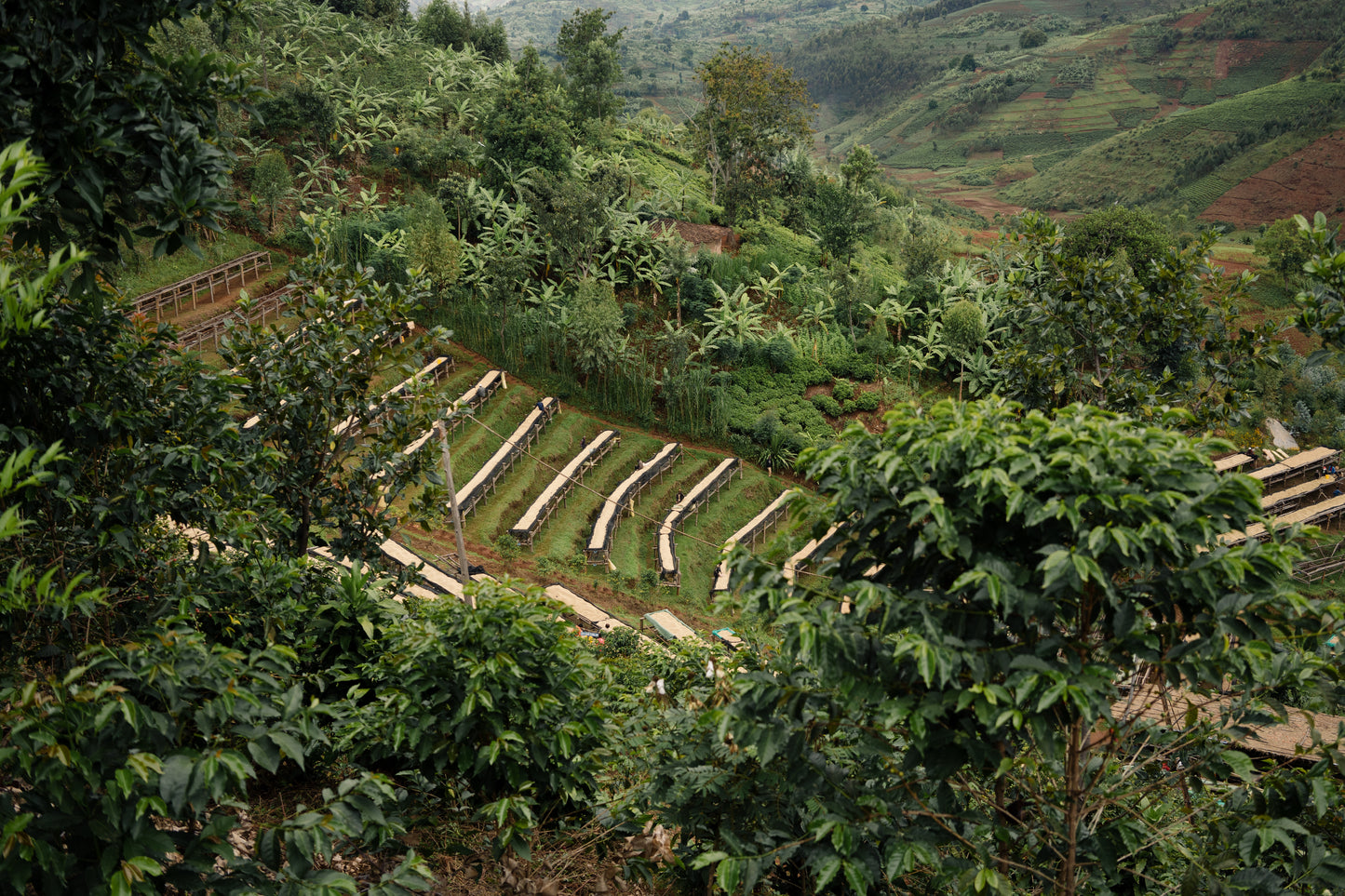 Long Miles Coffee Project