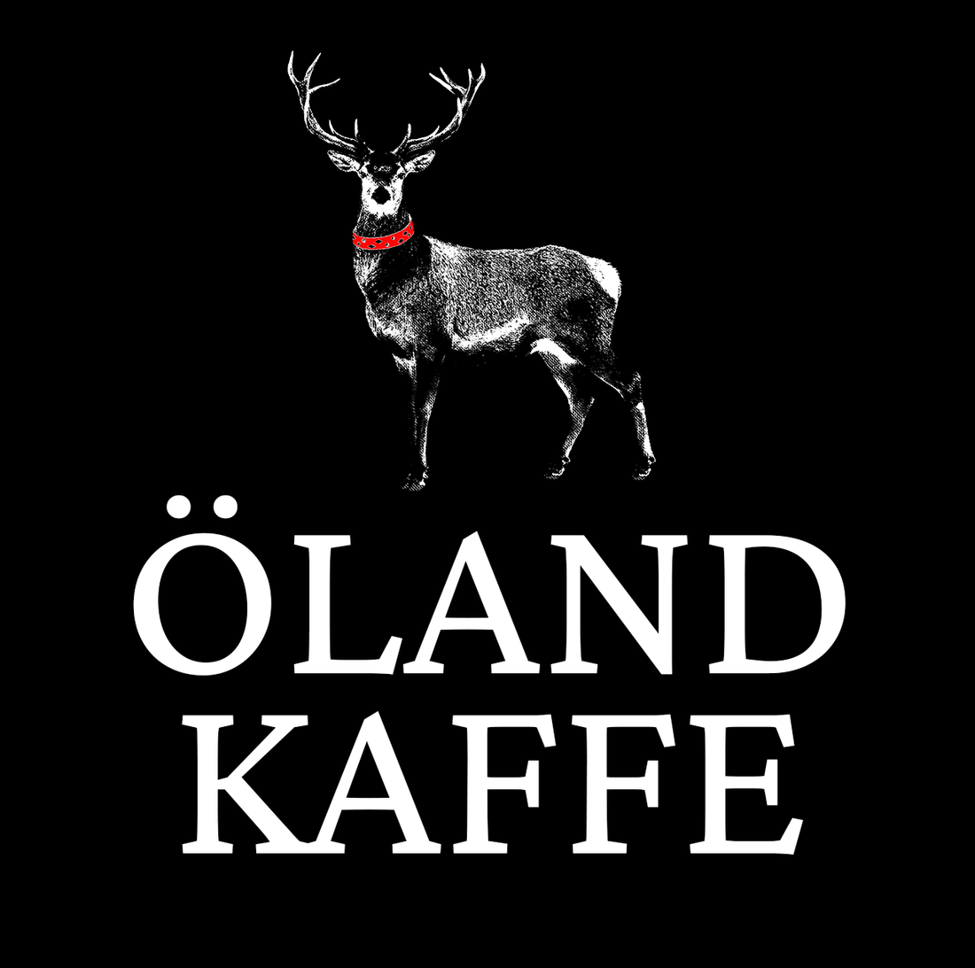 Nytt rosteri!